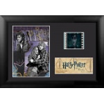 Cadre Harry Potter Pellicule Reliques de la Mort 2 Trio